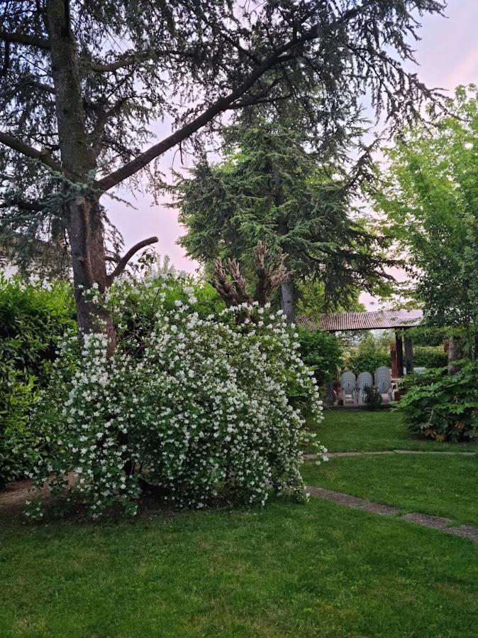 La Casa Di Gim Daire Lugo  Dış mekan fotoğraf